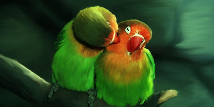 1920x1200 Love Birds Wallpapers - Top Free Love Birds Backgrounds