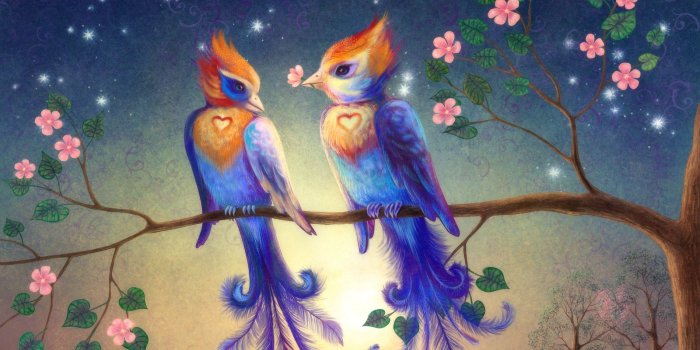 1600x1200 Birds Wallpapers Hd: Birds Wallpapers Widescreen