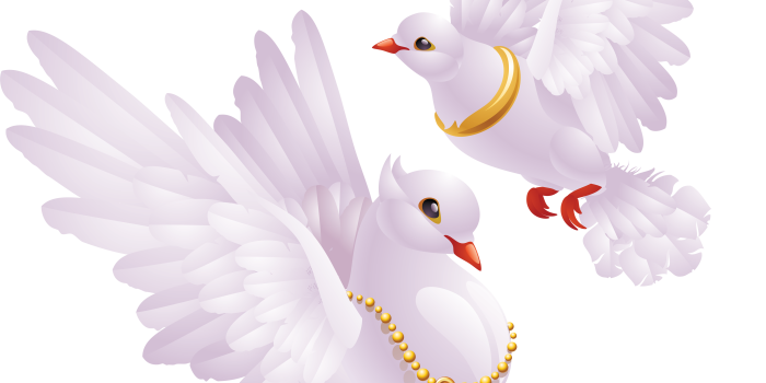 3551x3513 Love Doves Transparent & PNG Clipart Free Download - YWD