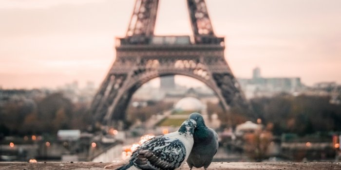 3840x2160 Stock Images love image, doves, 4k, paris, Stock Images #14787