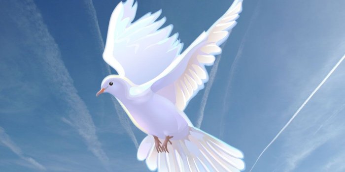1024x768 Free Doves, Download Free Clip Art, Free Clip Art on Clipart Library