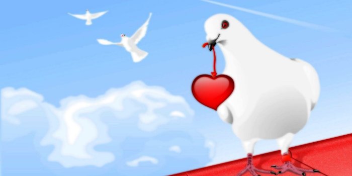 1920x1080 63+ Dove Wallpapers on WallpaperPlay