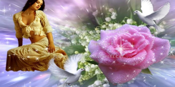 1920x1080 fantasy! pink rosa love doves abstract