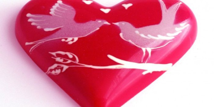 1024x768 Love Doves wallpapers - Crazy Frankenstein