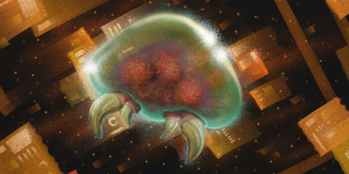 1600x967 Metroid Creature Fan Art |