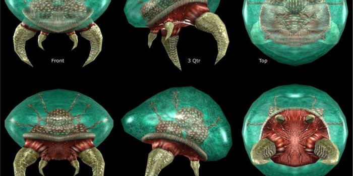 1165x873 The Metroid Species – Game Art |
