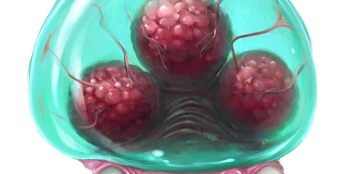 1728x1728 Baby | Wikitroid | Fandom