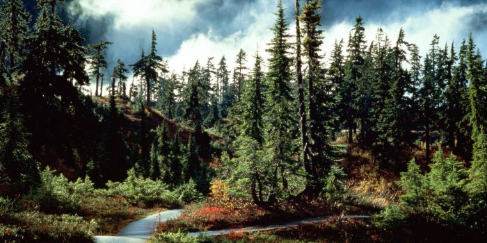 1600x1200 Nature wallpapers - Crazy Frankenstein