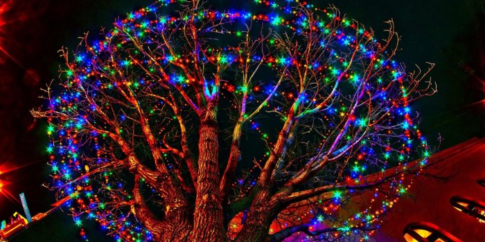 1920x1080 Best 52+ Holiday Hater Wallpaper on HipWallpaper | Dream Chater