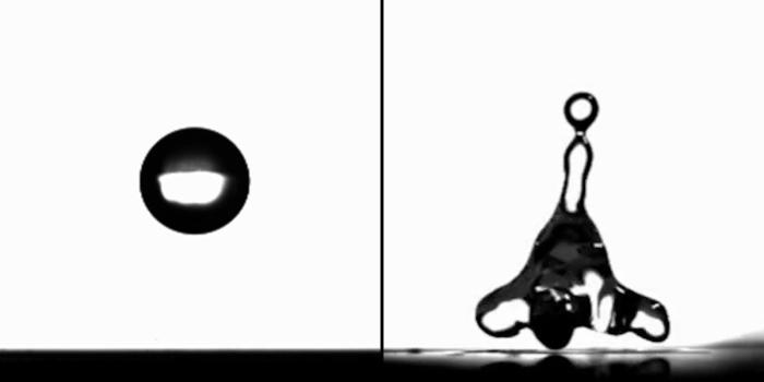 1600x900 Over 100 'Evergreen' New York Times Articles With Questions and