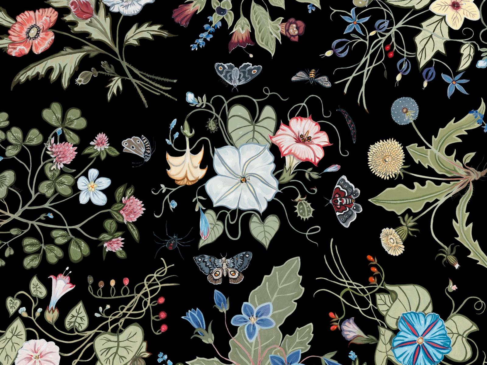 2048x1536 Gucci Flora Knight