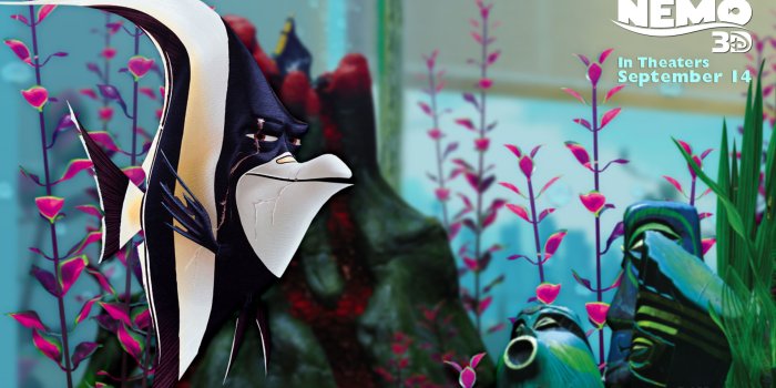 3840x2400 How Ellen's Talk Show Helped in the Casting of 'Finding Dory'