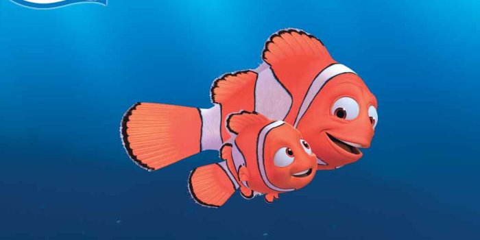 1024x768 Finding Nemo Wallpaper | HD Wallpapers Plus