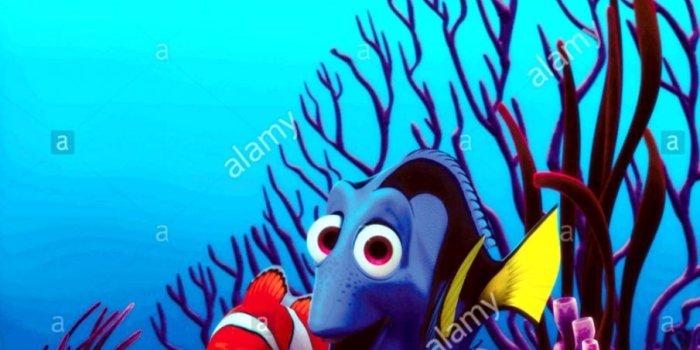 905x1264 Finding Nemo Dory Marlin Wallpaper | my-sims-3-downloads