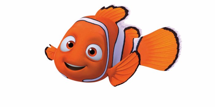 2048x1209 Best 45+ Nemo White Background on HipWallpaper | Nemo Pixar