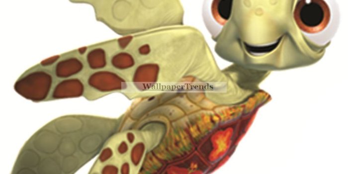 1000x991 Nemo Turtle Clipart