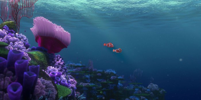 1900x1036 Finding nemo ocean background | danaspag.top