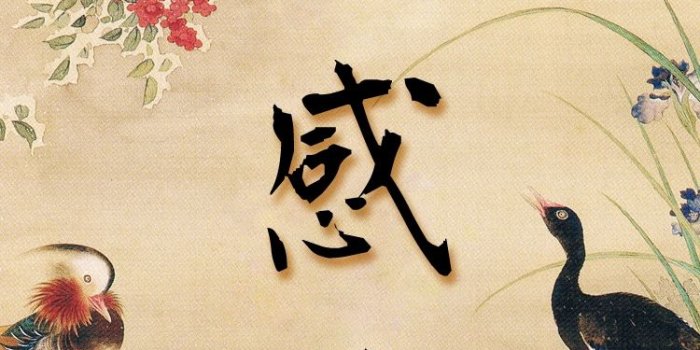 750x1334 Japanese iphone 6 Wallpaper 悪感情