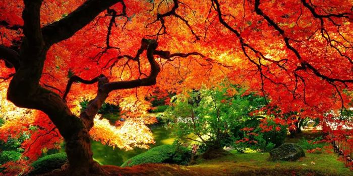 1600x900 Desktop Backgrounds wallpaper | 1600x900 | #35928