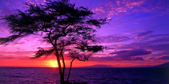 1600x900 Free download hdej desktop wallpapers hq landscape 020 wallpaper