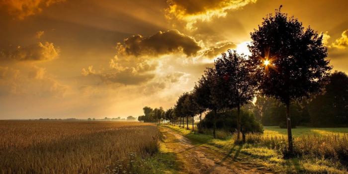 1600x900 1600x900 Sunset Field Road HD Wallpaper HD Desktop Wallpapers Cool