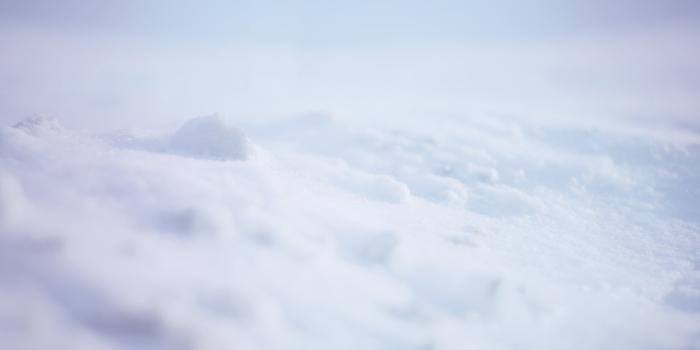 2560x1440 Close up photo of white powder ornament HD wallpaper | Wallpaper Flare