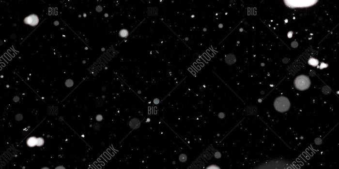 1500x1120 Freeze Motion White Image & Photo (Free Trial) | Bigstock