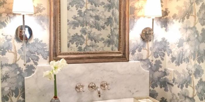 819x1024 raphael-sandburg-and-friends-wallpaper-heather-chadduck-blue-white