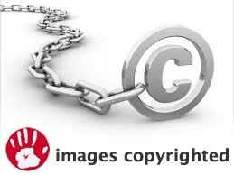 1260x1260 Collection GIRL POWER - Wallpapers 100767911