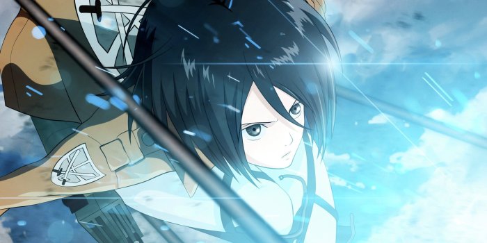 2560x1440 Mikasa from Attack On Titan illustration HD wallpaper | Wallpaper