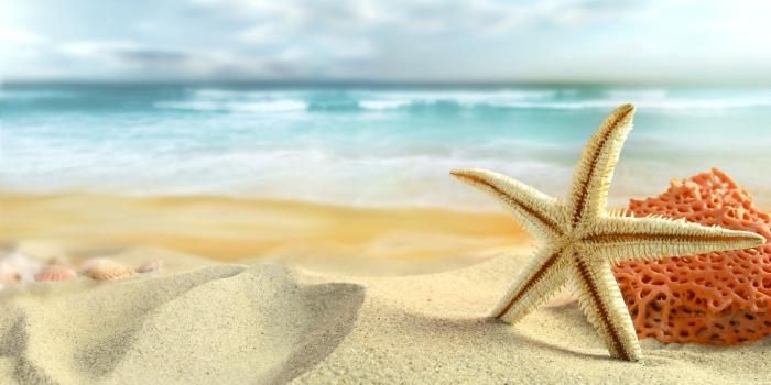 2048x1152 Cute Beach Wallpapers - Top Free Cute Beach Backgrounds