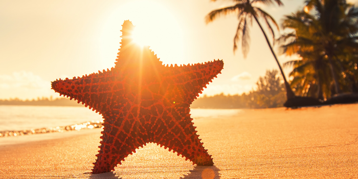 1500x2592 Tenley on cute wallpapers! | Beach wallpaper iphone, Beach