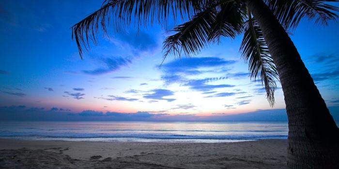 2560x1600 Beach HD Wallpaper | Background Image | 2560x1600 | ID:514880