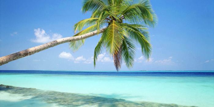 1600x1200 Cute Baby HD Wallpaper: Beach Wallpapers