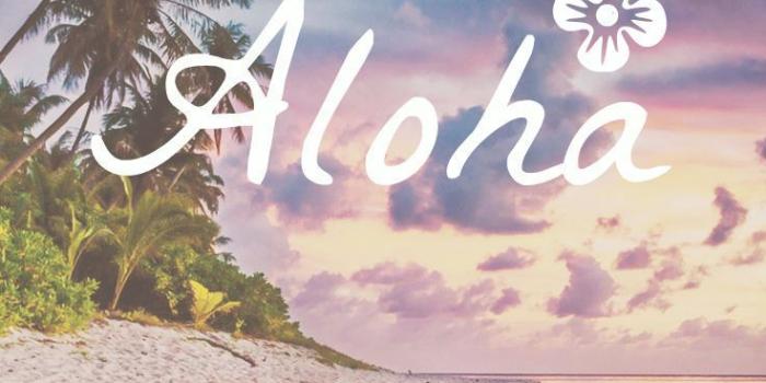 736x1308 Say Aloha to this beautiful iPhone Wallpaper | Summer wallpaper