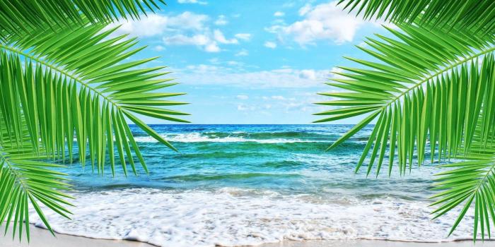 1600x1227 summer cute wallpapers