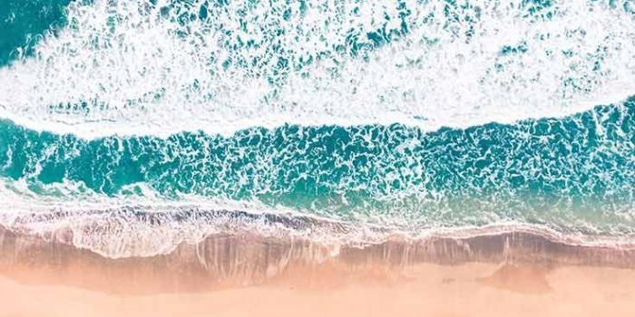 736x1308 Beach iPhone Wallpapers HD Quality - Best Beach Backgrounds