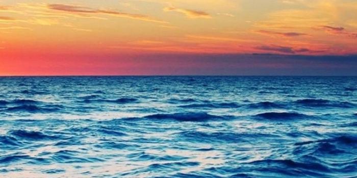 750x1334 Pretty Beach Wallpaper posted by Sarah Peltier