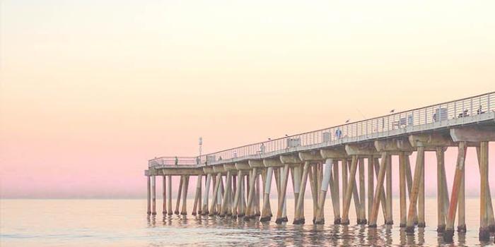 736x1308 Beach iPhone Wallpapers HD Quality - Best Beach Backgrounds