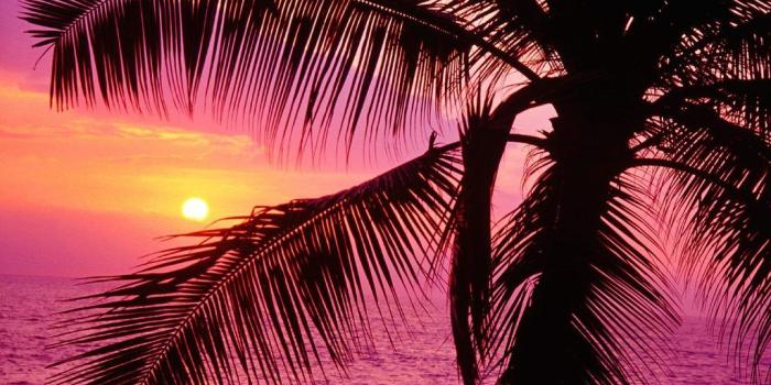 1024x768 Just Seven Cute Girly Wallpaper | Free Dekstop Wallpapers - image