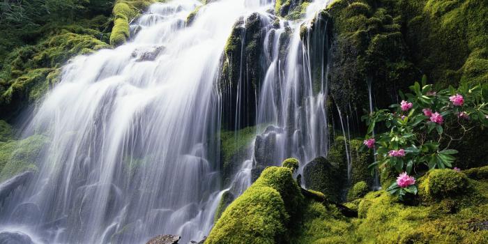 1920x1200 50+] Windows 10 Landscape Wallpaper on WallpaperSafari