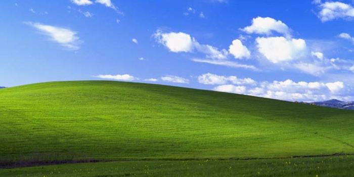 1200x800 Remember O'Rear's Windows XP 'Bliss' Wallpaper? He Just Came Out