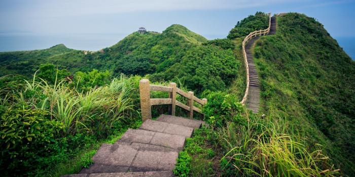 1920x1080 Get Rambling Pathways - Microsoft Store