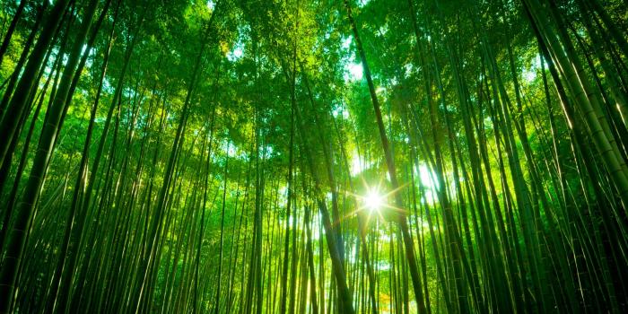 1920x1200 Wallpapers - Windows Help