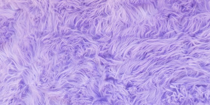 1856x1161 faux-fur-3.jpg | Cute wallpapers for computer, Purple wallpaper