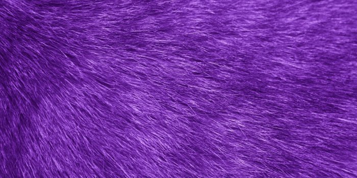 2722x1814 Purple Fur Wallpapers