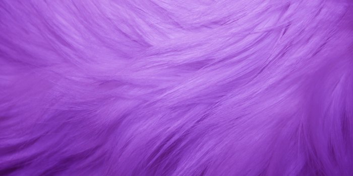 3888x2592 Purple Fur Texture (With images) | Fur textures, Purple, Pink fur