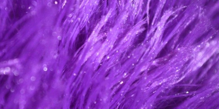 1080x1920 Purple Fur iPhone Wallpaper | 2020 3D iPhone Wallpaper