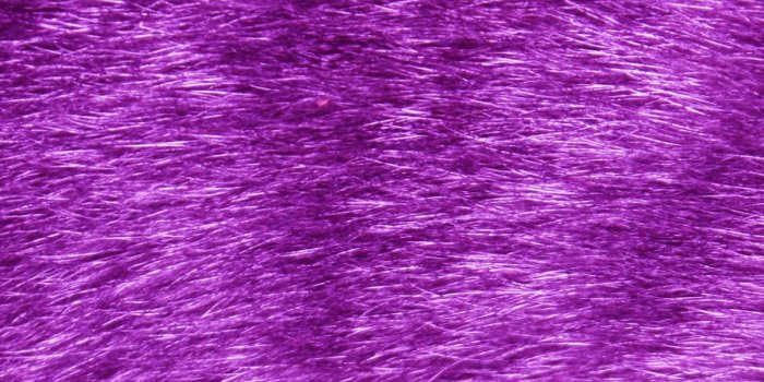 1200x1920 Free download Purple Fur Wallpaper [3000x2000] for your Desktop