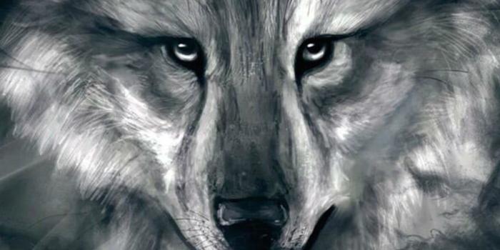 1200x1920 How to Rotate Your Favorite Wallpapers on Set Schedule for Any